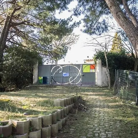 Dependence A Svarchi מרצ'לי